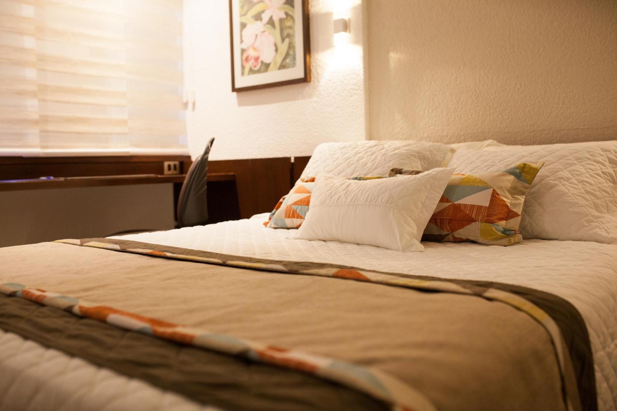 Standard Single Room,371061889:JPEG
