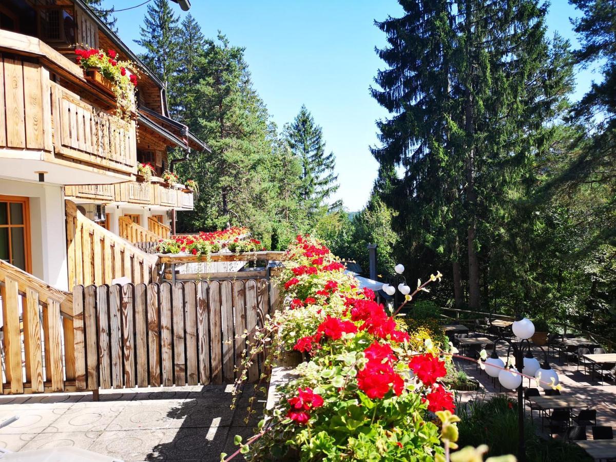 Double or Twin Room Terrace,1345739183:JPEG