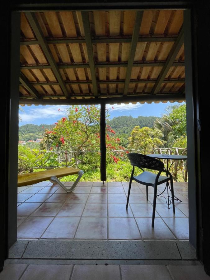Studio Garden View
