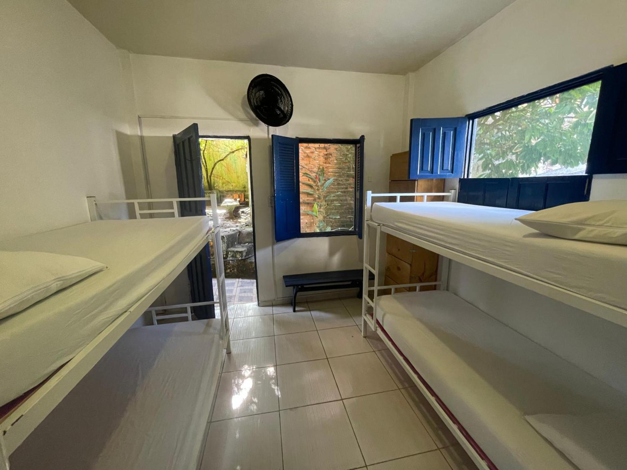 Bunk Bed Mixed Dormitory Room,1541325331:JPEG