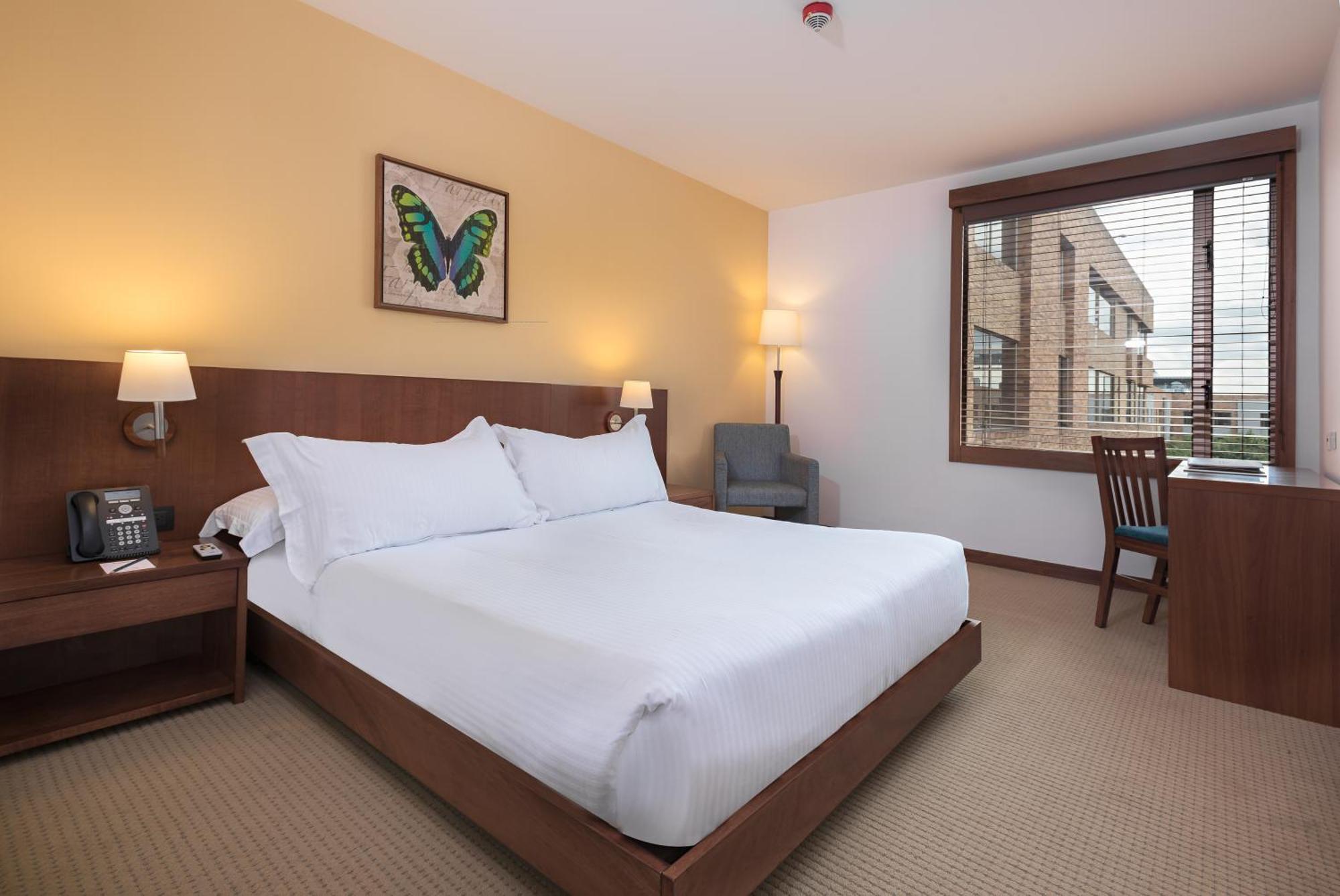 Executive Double Room,1545391141:JPEG