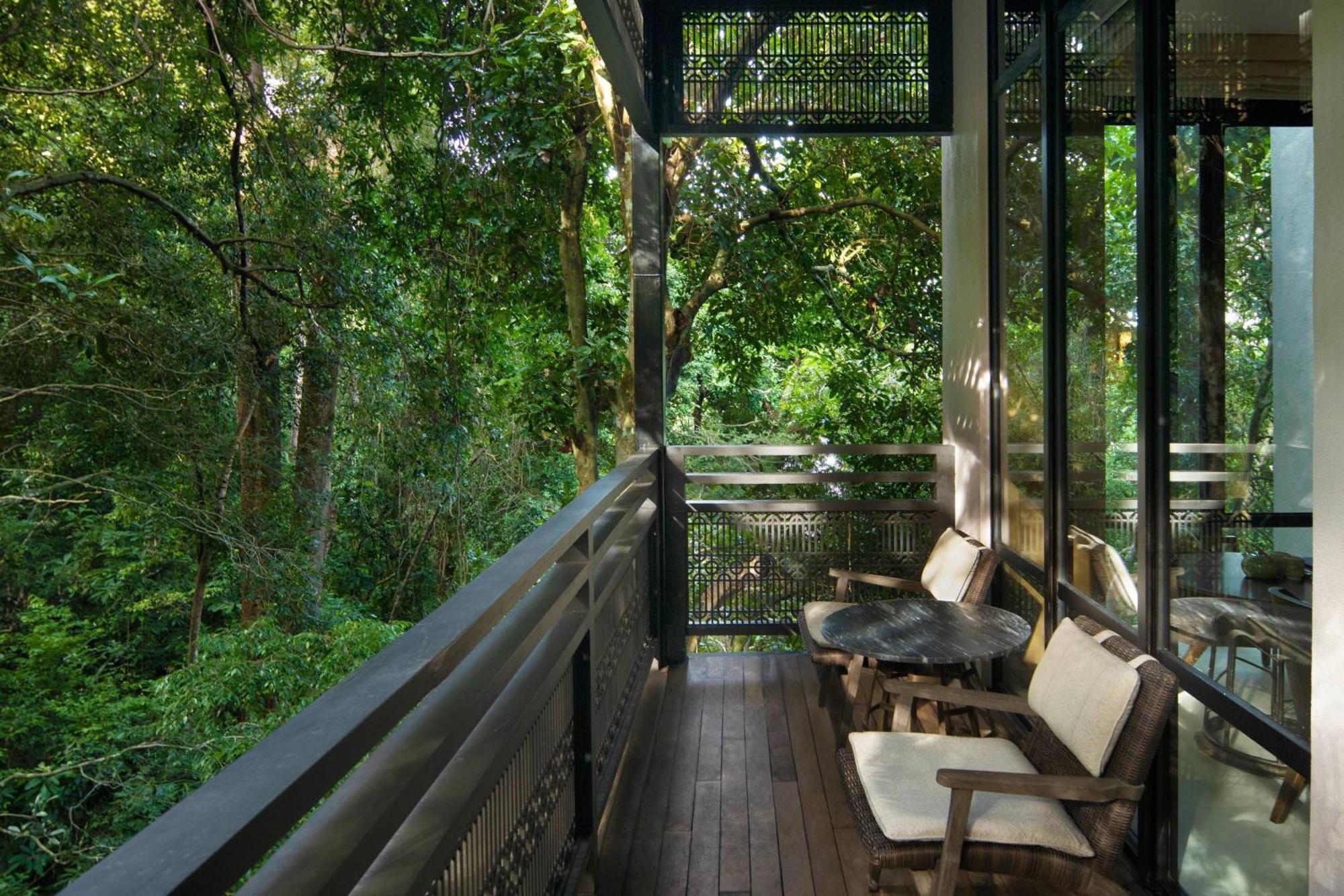 Rainforest Deluxe King Room,1592932990:JPEG