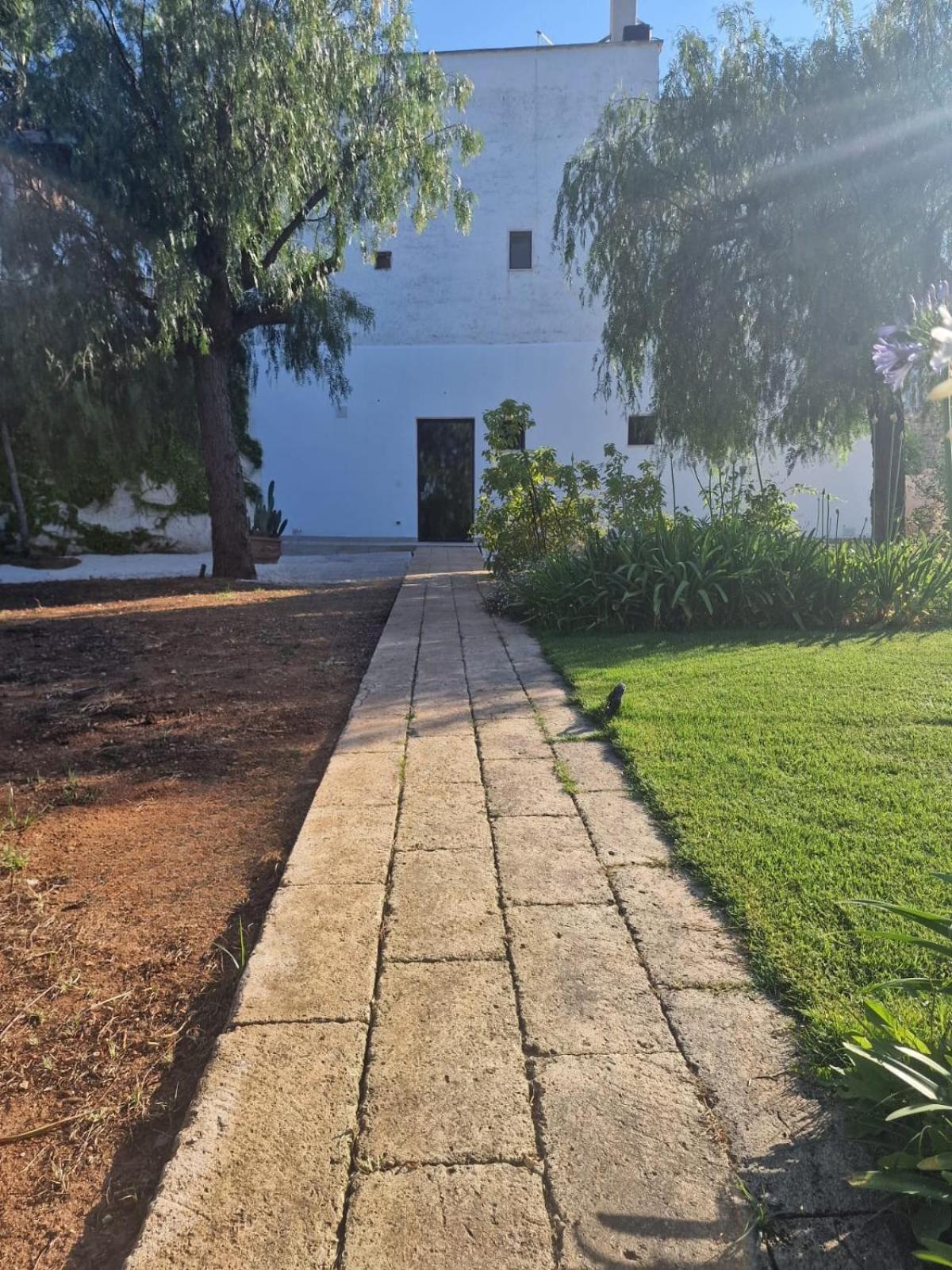 King Room Garden View