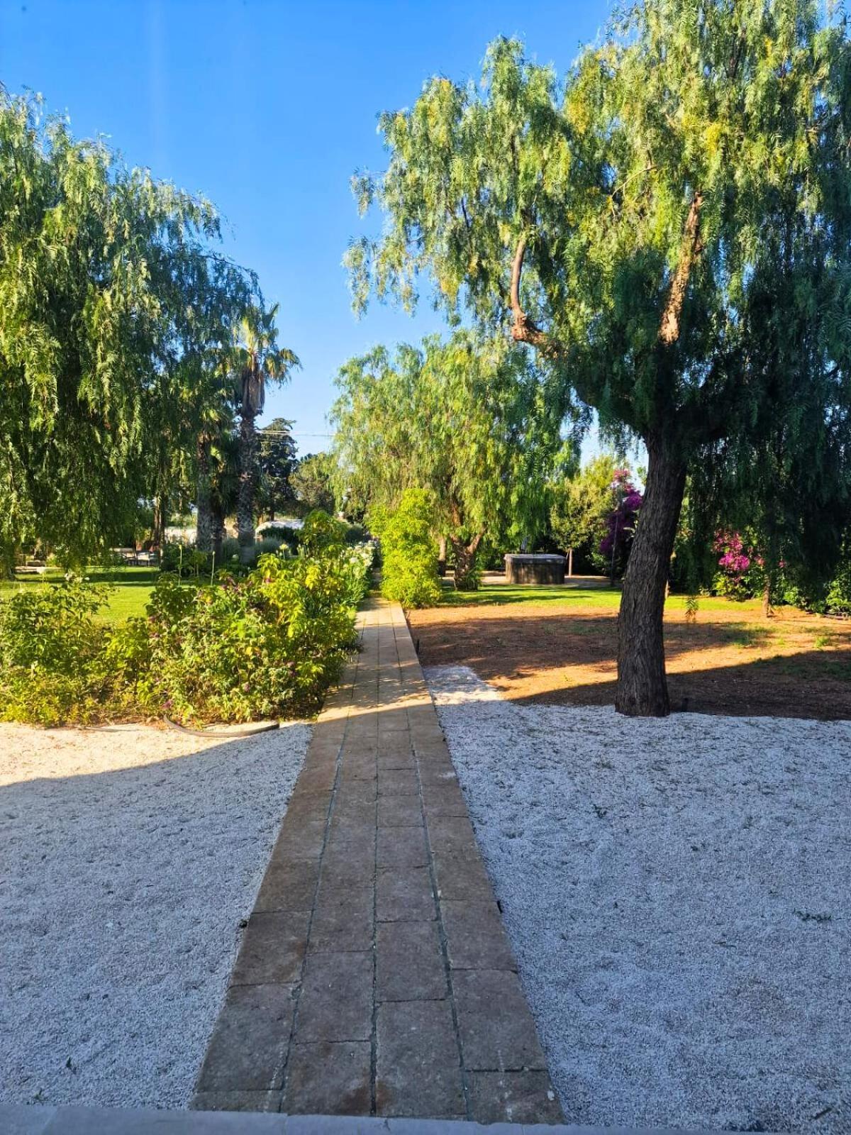 King Room Garden View