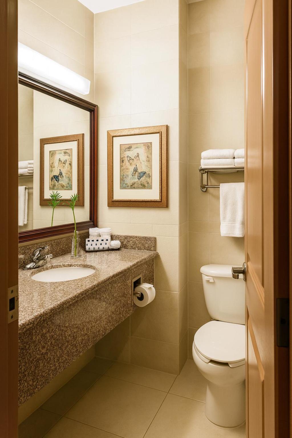 Deluxe Suite,1739459298:JPEG