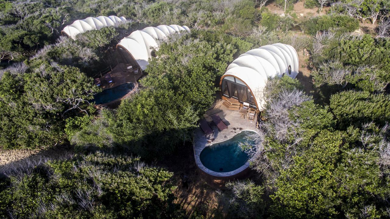 Suite Cocoon con piscina y 1 safari gratis