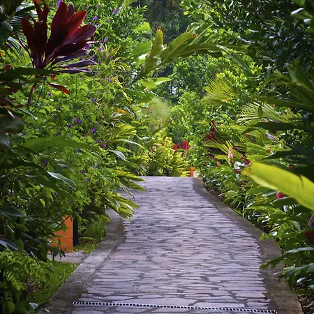 Nayara Gardens-2