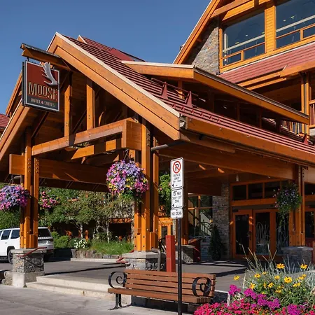 Moose Hotel And Suites-3